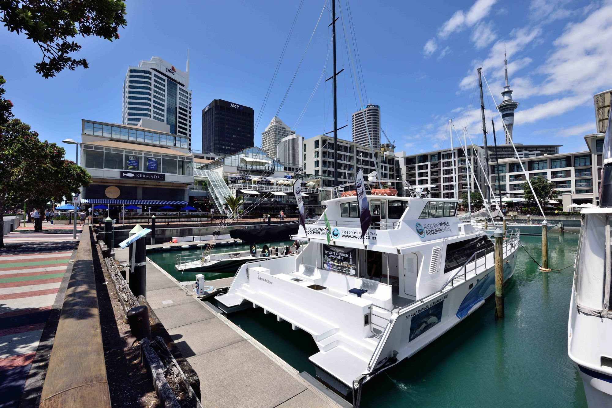 Furnished Apartment In Auckland Cbd ภายนอก รูปภาพ